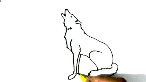 Wolf Drawing Easy Step By Step | Free download on ClipArtMag