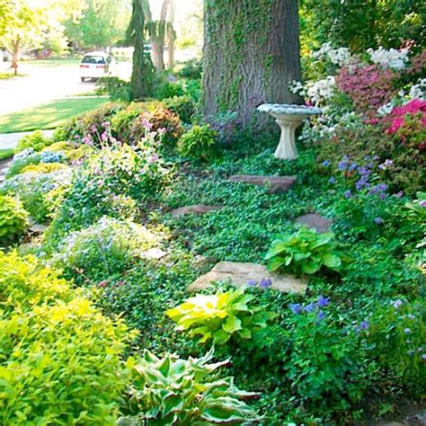 49 best images about Shade Gardens/Plants under Trees on Pinterest ...