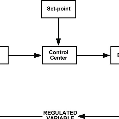 Simplified representation of a homeostatic regulatory system. Several... | Download Scientific ...