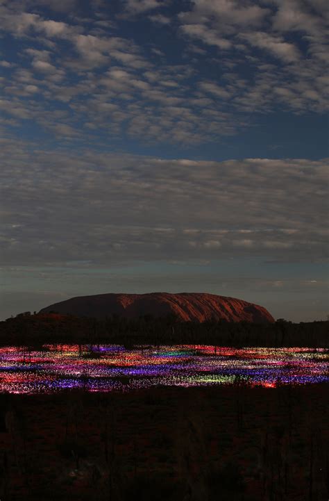 Why should you visit Bruce Munro’s Fields of Lights?
