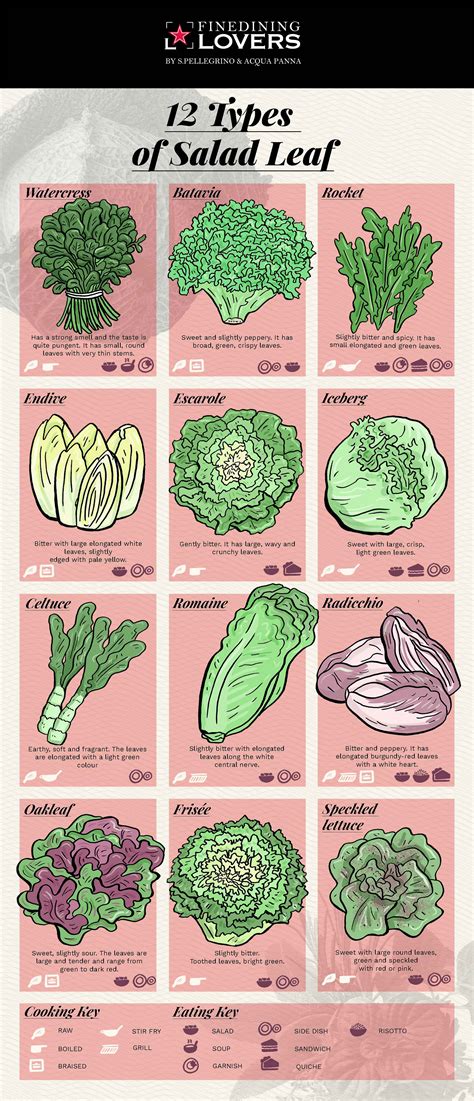 Salad Leaf Types and How to Eat Them | Fine Dining Lovers