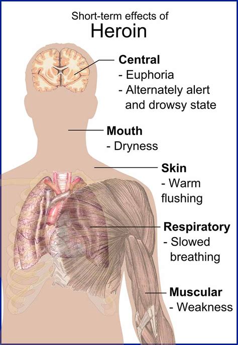 Effects Of Heroin