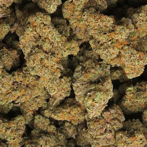 Los Exotics Stardawg Guava Strain Delivery in Los Angeles