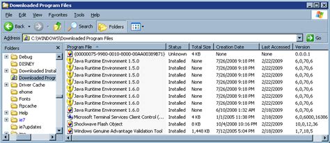 Java Update and Downloaded Program Files