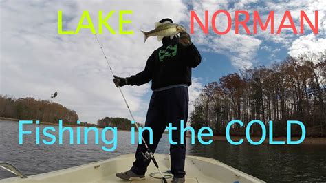 Lake Norman Winter Bass Fishing - YouTube