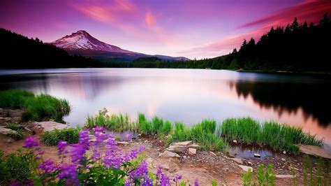 Spring Scenery Wallpaper 1080P ~ Spring Nature Wallpaper For Android ...