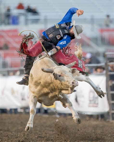 7 of Top 25 Professional Bull Riders to Compete in Salinas