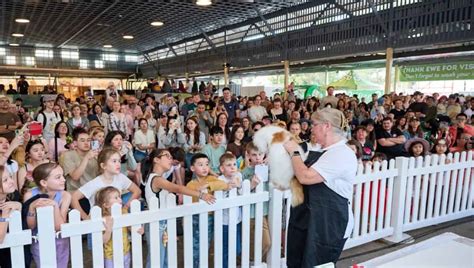 Ekka Animals: 10,000 Reasons to Visit the Royal Show