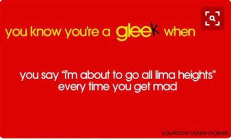 Pin by Theatrefan13 on You know you're a gleek when | Glee, Sayings ...