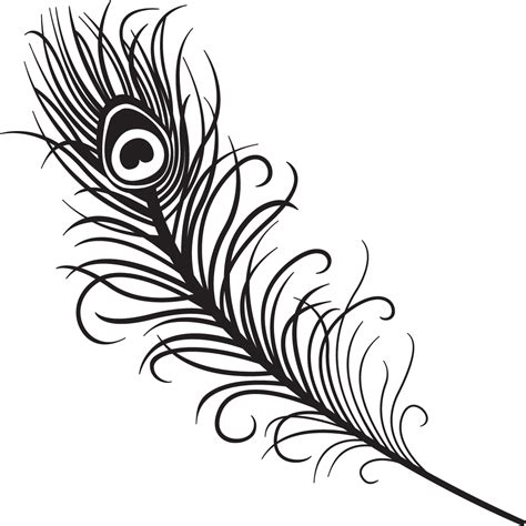 Peacock Feather Clipart Black And White