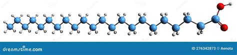 Behenic Acid Docosanoic Acid Saturated Fatty Acid Molecule. Skeletal Formula. Cartoon Vector ...