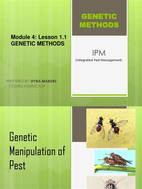 Genetic Manipulation | PDF | Genetically Modified Organism | Genetic ...