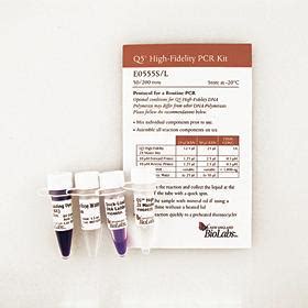 Q5® High-Fidelity DNA Polymerase, New England BioLabs | VWR