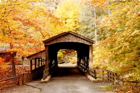 Covered Bridge In Forest 1 Free Stock Photo - Public Domain Pictures