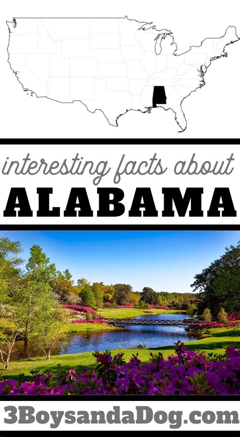 Discover Fascinating Fun Facts about Alabama