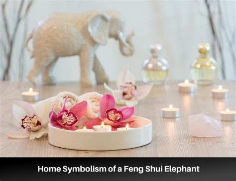 Symbolism of a Feng Shui Elephant in the Home