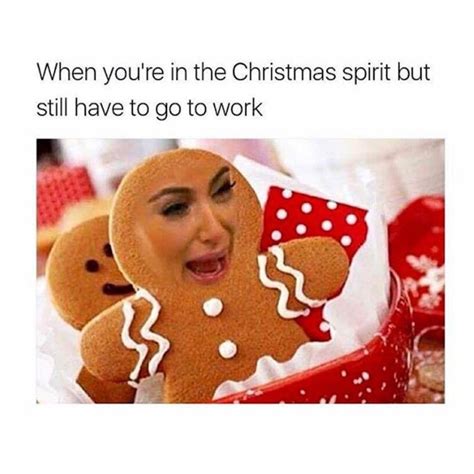 24 Hilarious Christmas Memes To Post During The Holidays