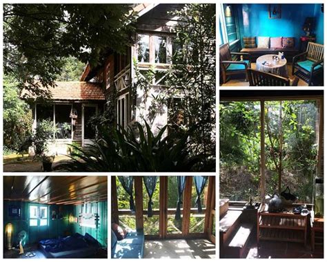 [Review] Homestay Đà Lạt View Rừng Thông, Núi Rừng Siêu Đẹp 2025