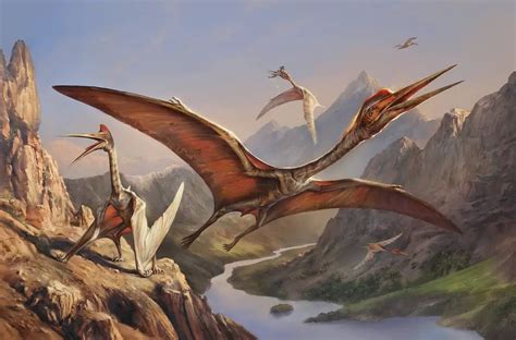 Quetzalcoatlus | Dinosaurs - Pictures and Facts