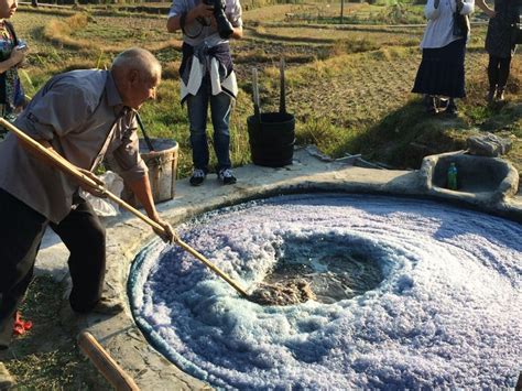 9ISS Tour to Yueqing Indigo Farm | Farm photo, Tours, Indigo