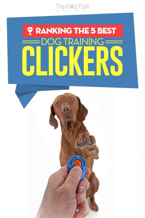 Top 5 Best Dog Clicker for Training Dogs Yourself