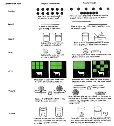 Piagetian Conservation Tasks - Primary Math's Concepts: Conservation of ...