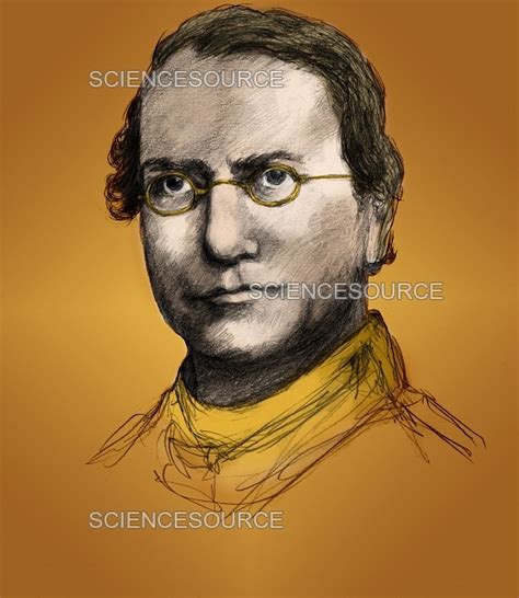 Photograph | Gregor Mendel, Father of Genetics | Science Source Images