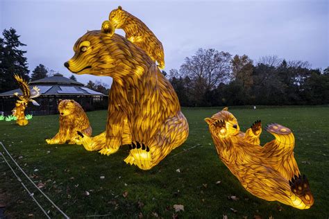 Seattle’s Woodland Park Zoo hangs out the WildLanterns for the holidays | The Seattle Times