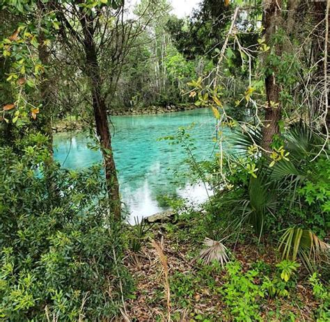 Three Sisters Springs FL | Three sisters springs, Outdoor, Outdoor decor