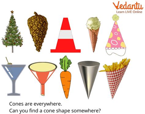 Cone Shape: Definition, Facts & Examples