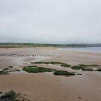 Ardmore Beach - 2 tips from 121 visitors