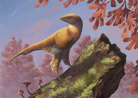 Pictures and Profiles of Feathered Dinosaurs