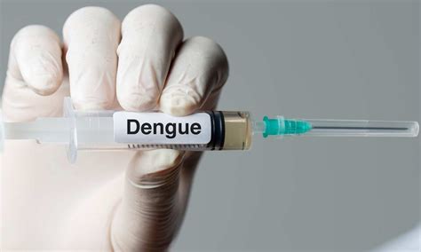 European Commission approves Qdenga as second dengue virus vaccine