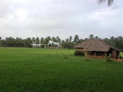 A Glimpse into What Rural Village Life in India is Like - Karl Rock's Blog