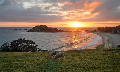 Mount Maunganui Sunrise Photograph by Steve Clancy Photography - Fine ...