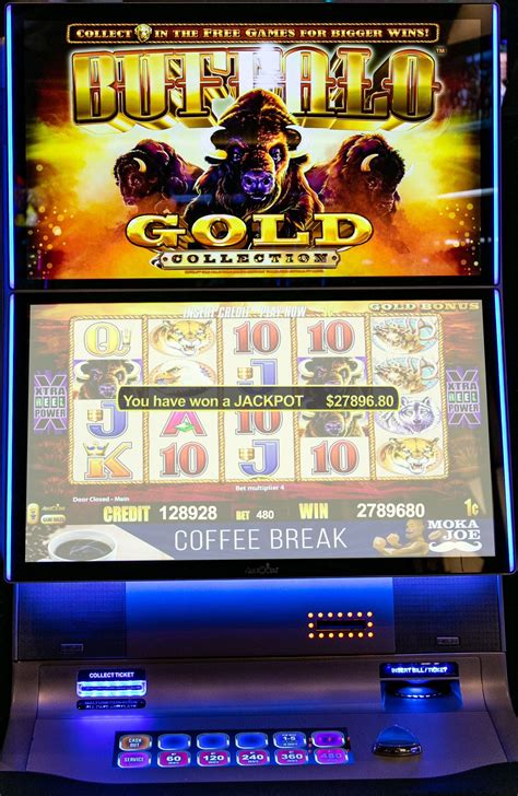 Lucky Winner Strikes Gold at Buffalo Gold Slot Machine