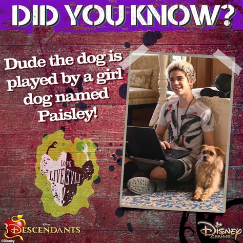 Dude the Dog | Descendants Wiki | FANDOM powered by Wikia