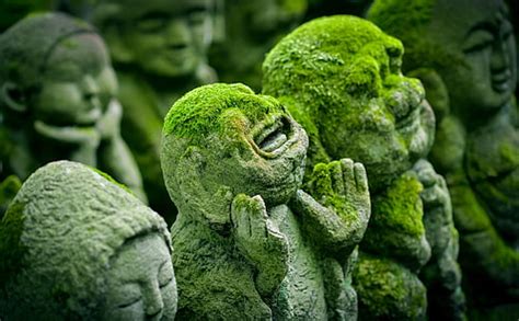 HD wallpaper: human concrete statue with moss, kyoto, japan, jizo, japanese | Wallpaper Flare