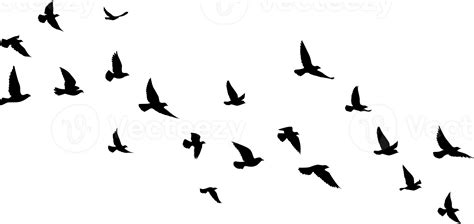 Flying birds silhouettes pattern wallpaper. PNG transparent. isolated bird flying. tattoo design ...