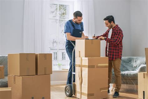 Small Moves Moving Company In Northern Virginia – We Junk It