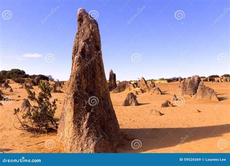 Pinnacle Rock Formations on Desert Sand Dunes Stock Image - Image of nambung, people: 59526569