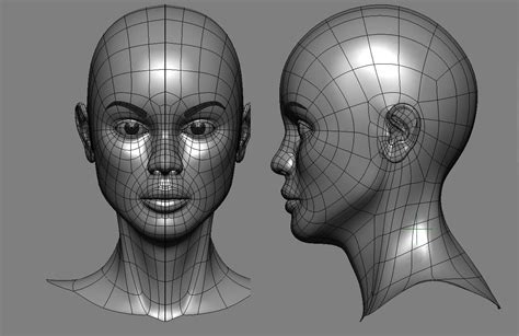 Face topology, Topology, Face blender