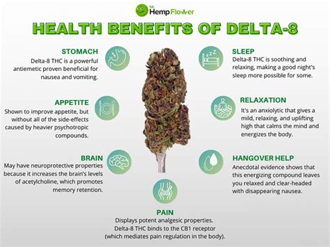 Delta 8 THC Oil Benefits | An Unconventional Path To Relief