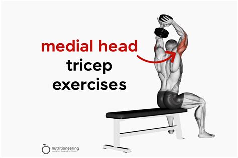 A certain semaphore excitement dumbbell tricep exercises for each head ...