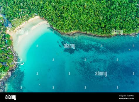 Exotic idyllic sea island with green tree forest aerial view Stock Photo - Alamy