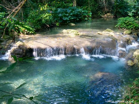 Mayfield Falls, Westmoreland | Jamaica travel, Jamaica, Waterfall