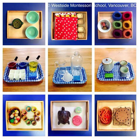 Pin by Westside Montessori School on PRACTICAL LIFE | Montessori practical life, Montessori ...
