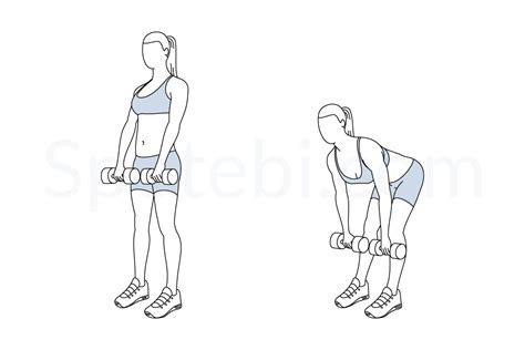 Romanian Deadlift | Illustrated Exercise Guide