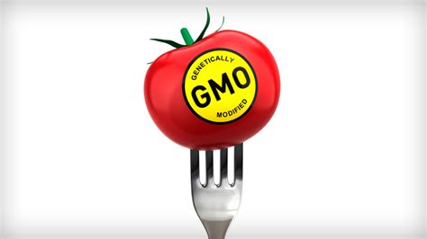 Worldwide GMO Labeling Laws | Occupy.com