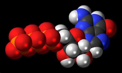 Guanosine triphosphate - Alchetron, The Free Social Encyclopedia